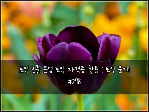 토익 빈출 문법 토익 자격증 활용 : 토익 문제 #278