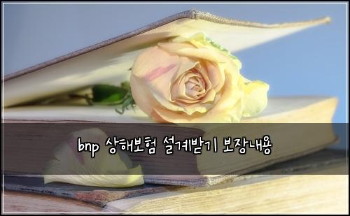bnp ์ํด๋ณดํ ์ค๊ณ๋ฐ๊ธฐ ๋ณด์ฅ๋ด์ฉ