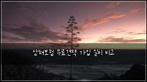 μν΄λ³΄ν 무λ£κ²¬μ Ή κ°μ
μ€λΉ λΉκ΅