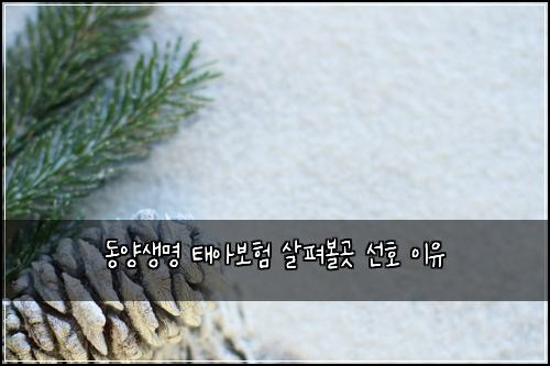 ๋์์๋ช
ํ์๋ณดํ ์ดํด๋ณผ๊ณณ ์ ํธ ์ด์