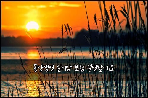 ๋์์๋ช
์ค๋ฒ์ ๋ณดํ ์ค๋ช
ํ ๊ฒ์