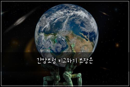 간암보험 비교하기  보장은