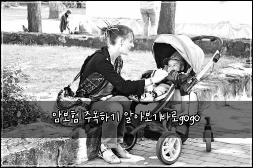 ์๋ณดํ ์ฃผ๋ชฉํ๊ธฐ ์์๋ณด๊ธฐ๋ฐ๋กgogo