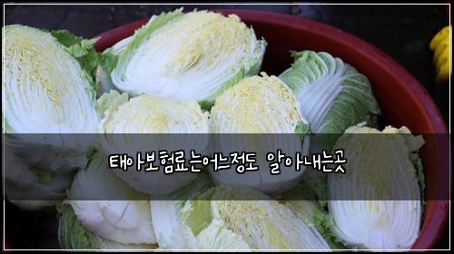 ํ์๋ณดํ๋ฃ๋์ด๋์ ๋ ์์๋ด๋๊ณณ