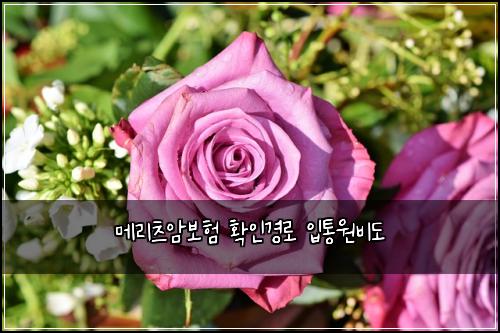 메리츠암보험 확인경로  입통원비도