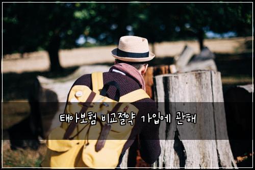 태아보험 비교절약  가입에 관해