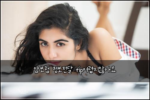 암보험 정보전달  tip어렵지않아요