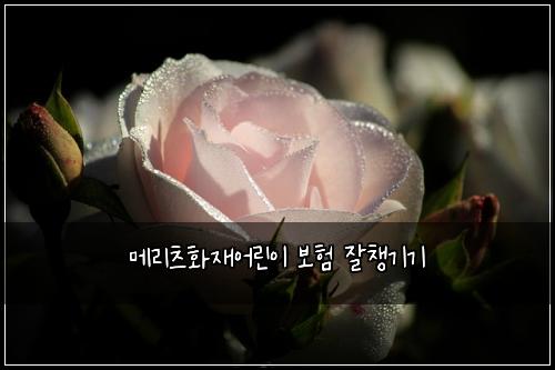 메리츠화재어린이 보험 잘챙기기 