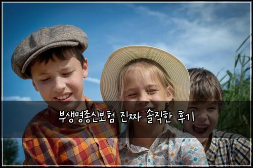 부생명종신보험 진짜 솔직한 후기