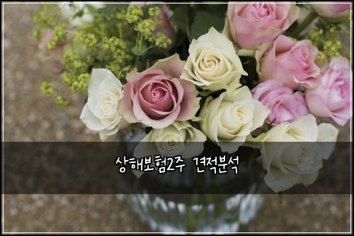 상해보험2주 견적분석