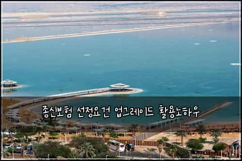 종신보험 선정요건  업그레이드 활용노하우