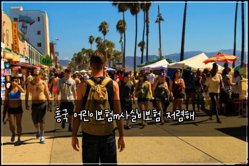 흥국 어린이보험m사실비보험 저렴해