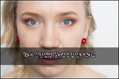 70대 신한생명 실버암보험 인터넷비교 