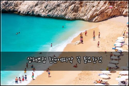 상해보험 한눈에파악  꼭 필요한것