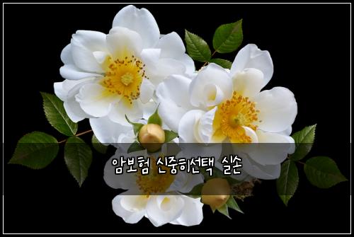 ์๋ณดํ ์ ์คํ์ ํ ์ค์