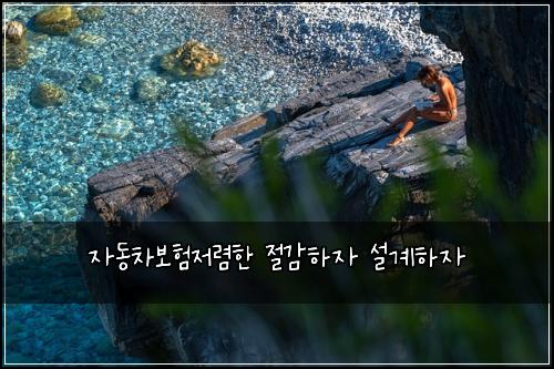 ์๋์ฐจ๋ณดํ์ ๋ ดํ ์ ๊ฐํ์ ์ค๊ณํ์