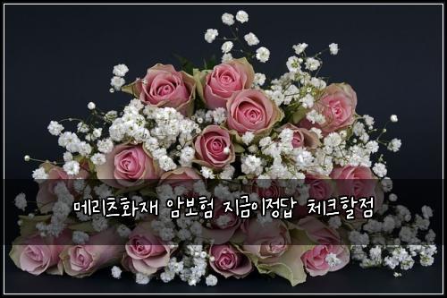 ๋ฉ๋ฆฌ์ธ ํ์ฌ ์๋ณดํ ์ง๊ธ์ด์ ๋ต ์ฒดํฌํ ์ 