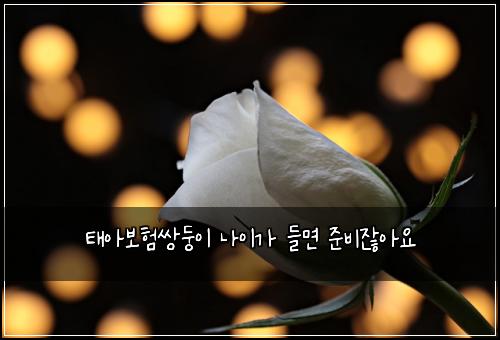 태아보험쌍둥이 나이가 들면 준비잖아요
