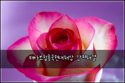 ํ์๋ณดํํฅ๊ตญํ๋ํด์ ๊ฐํธํด๊ฒฐ