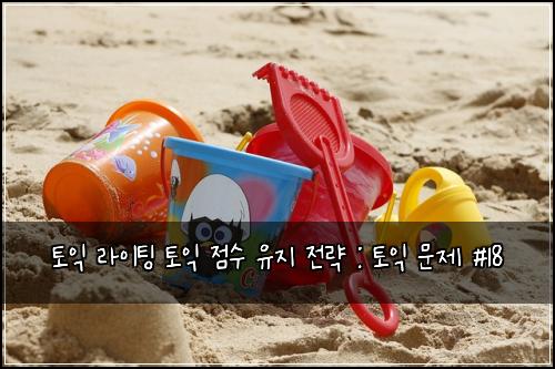 토익 라이팅 토익 점수 유지 전략 : 토익 문제 #18