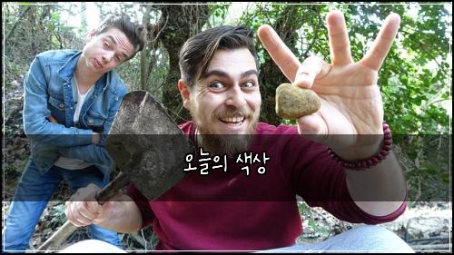 오늘의 색상