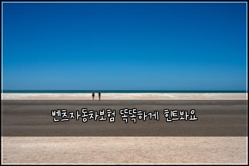 ๋ฒค์ธ ์๋์ฐจ๋ณดํ ๋๋ํ๊ฒ ํํธ๋ด์