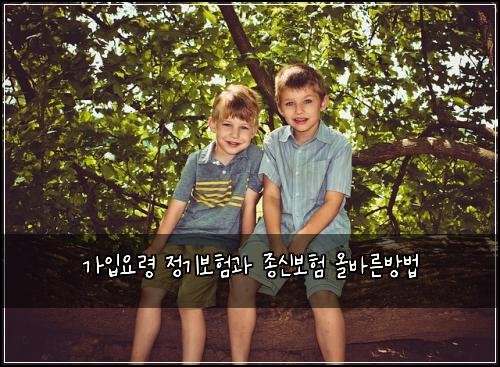 ๊ฐ์
์๋ น ์ ๊ธฐ๋ณดํ๊ณผ ์ข
์ ๋ณดํ ์ฌ๋ฐ๋ฅธ๋ฐฉ๋ฒ