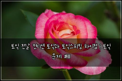 토익 전날 컨디션 토익과 토익스피킹 차이점 : 토익 문제 #111