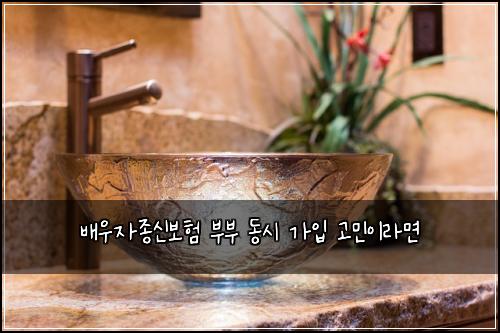 배우자종신보험 부부 동시 가입 고민이라면