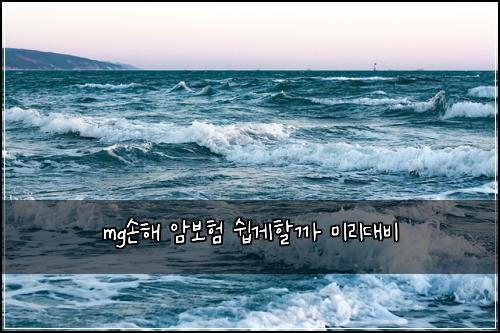 mg์ํด ์๋ณดํ ์ฝ๊ฒํ ๊น ๋ฏธ๋ฆฌ๋๋น