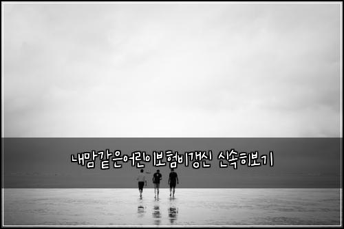 내맘같은어린이보험비갱신 신속히보기