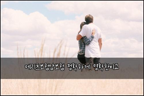 ๋ฉ๋ฆฌ์ธ ๋ณดํ์๋ณดํ ์ ํํ๊ฒ ๋ช
ํํ๋น๊ต