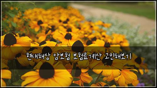 ํ๋ํด์ ์๋ณดํ ๋ณดํ๋ฃ๊ณ์ฐ ๊ณ ๋ฏผํด๋ณด๊ธฐ