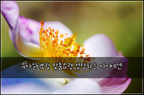 ์ ์์ค๋น๋ณดํ ๋ง์ถค์๋ น ์ฑ์ฅํ๋ ์์ด์๊ฒ