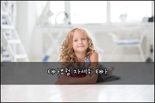 태아보험 자세히  태아