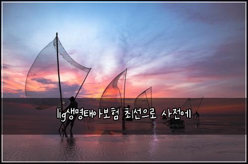lig์๋ช
ํ์๋ณดํ ์ต์ ์ผ๋ก ์ฌ์ ์