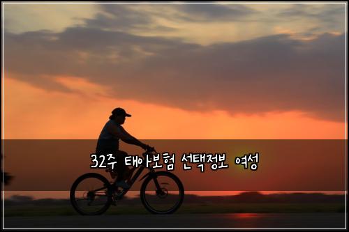 32์ฃผ ํ์๋ณดํ ์ ํ์ ๋ณด ์ฌ์ฑ