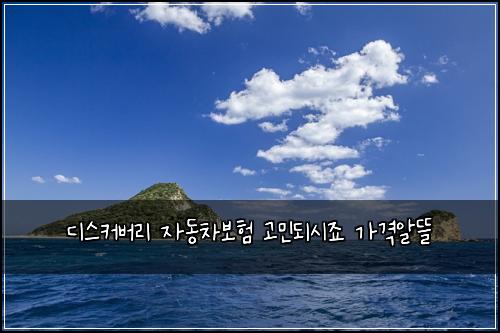 ๋์ค์ปค๋ฒ๋ฆฌ ์๋์ฐจ๋ณดํ ๊ณ ๋ฏผ๋์์ฃ ๊ฐ๊ฒฉ์๋ฐ