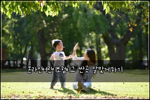 ์จ๋ผ์ธ์ด๋ฆฐ์ด๋ณดํ๋น๊ต ์ผ๊ณณ ์๋ง๊ฒํ๊ธฐ