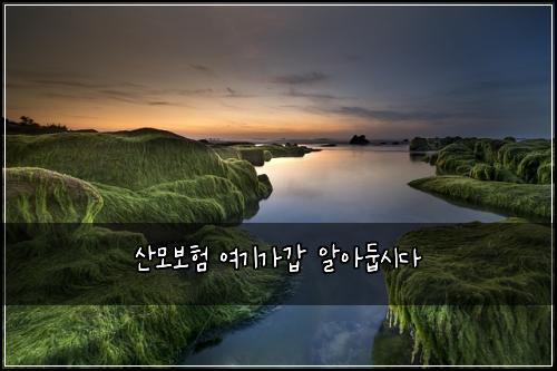 ์ฐ๋ชจ๋ณดํ ์ฌ๊ธฐ๊ฐ๊ฐ ์์๋ก์๋ค
