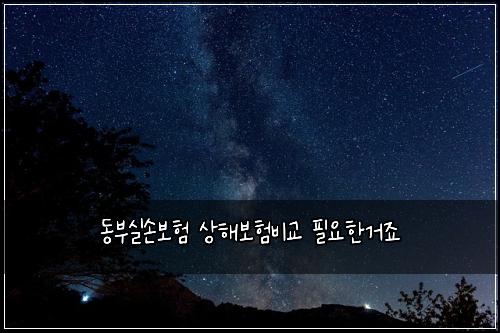 동부실손보험 상해보험비교 필요한거죠