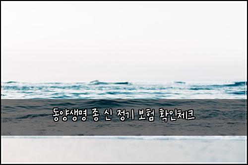 동양생명 종 신 정기 보험 확인체크 