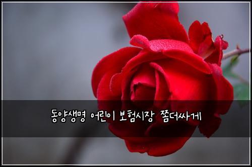 λμμλͺ
μ΄λ¦°μ΄ 보νμμ₯ μ«λμΈκ²