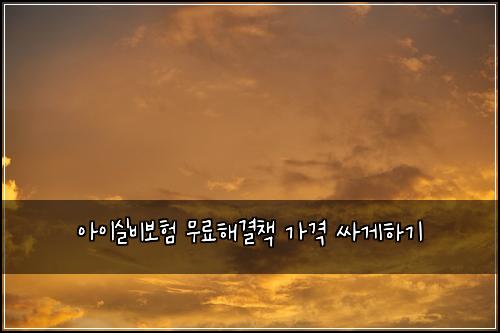 ์์ด์ค๋น๋ณดํ ๋ฌด๋ฃํด๊ฒฐ์ฑ
๊ฐ๊ฒฉ ์ธ๊ฒํ๊ธฐ