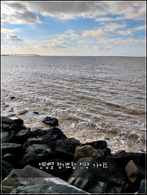 연령별 정기보험 전략 가이드
