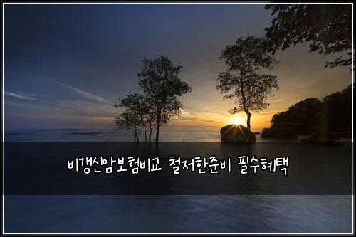 ๋น๊ฐฑ์ ์๋ณดํ๋น๊ต ์ฒ ์ ํ์ค๋น ํ์ํํ