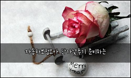 ์๋์ฐจ๋ณดํ๋ชจ์ ๋จ๊ฐ๋ฎ์ถ๊ธฐ ์ค๋นํ๋