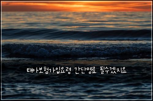 ํ์๋ณดํ๊ฐ์
์๋ น ๊ฐ๋จ๋ช
๋ฃ ํ์๊ฒ ์ง์