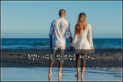 νΉλ³ν μ΄μ λ‘ μ 기보νμ 체ν¬λΉκ΅