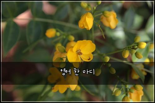 영어 한 마디